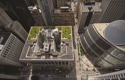 green roof on city hall in Chicago