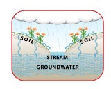 Soils Role in the Water Cycle