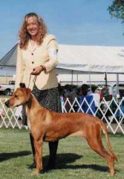 Dawn Gibas